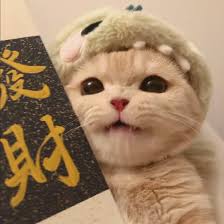 Ảnh đại diện David Kim